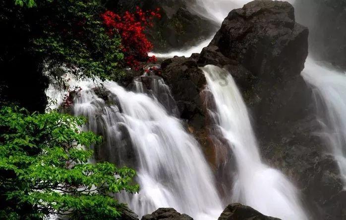 乡村景观设计规划设计